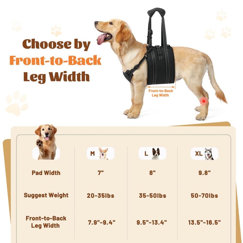 NOYAL Dog Lift Harness Sling belly padding protects sensitive skin on long wear