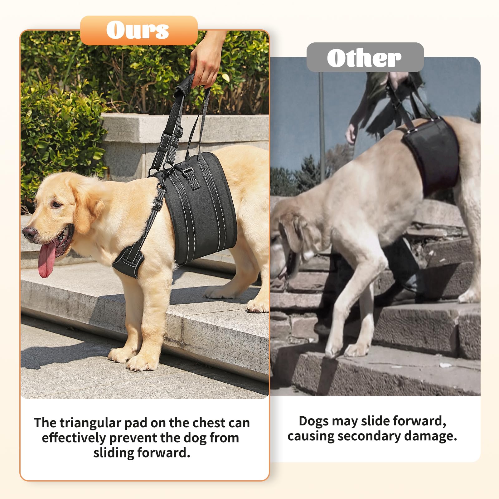 NOYAL Dog Lift Harness Sling post-surgery support stabilizes recovery during short lifts
