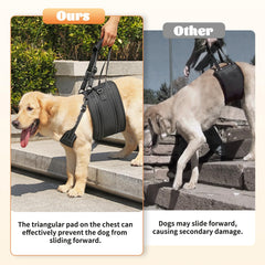 NOYAL Dog Lift Harness Sling post-surgery support stabilizes recovery during short lifts