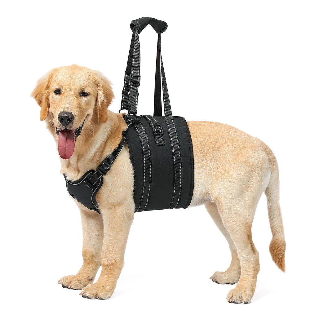 NOYAL Dog Lift Harness Sling rear-strap-stairs aids stairs mobility and balance
