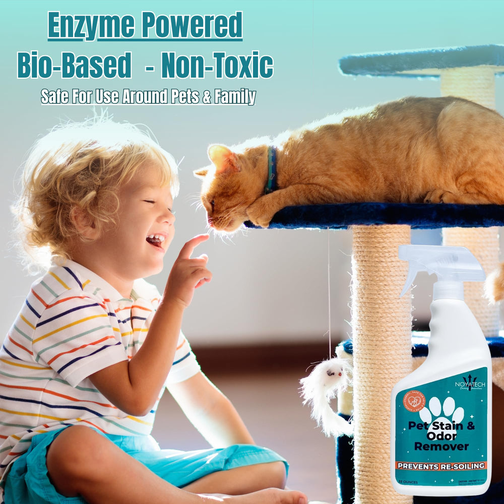 NOYATECH Pet Stain Remover spray-action shows quick, easy application for busy homes.