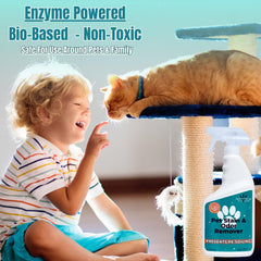 NOYATECH Pet Stain Remover spray-action shows quick, easy application for busy homes.