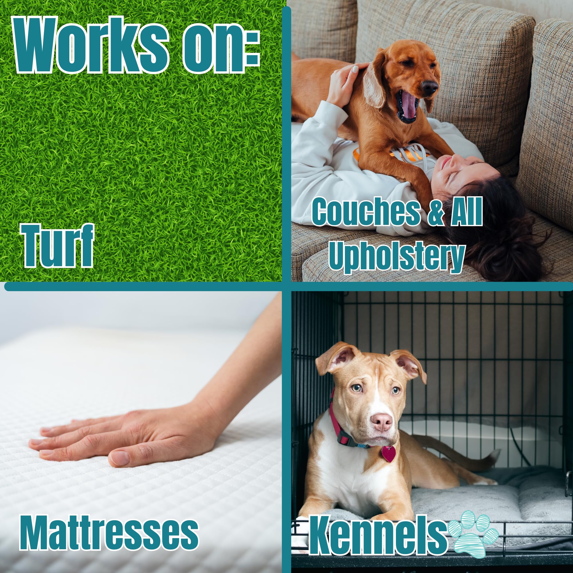 NOYATECH Stain Remover kennels-crates image emphasizes safe, non-toxic cleaning.