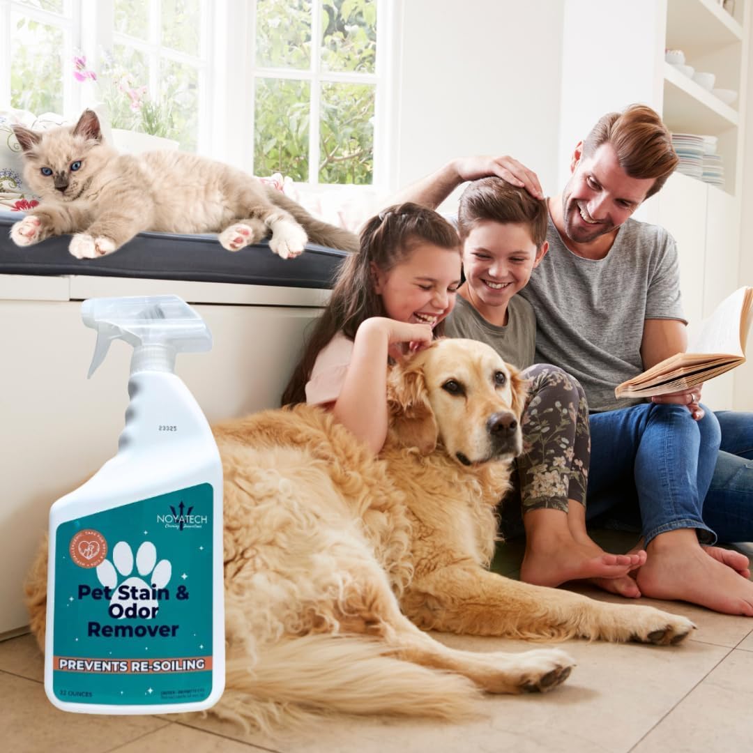 NOYATECH Stain Remover stairs-couches demonstrates broad surface compatibility.