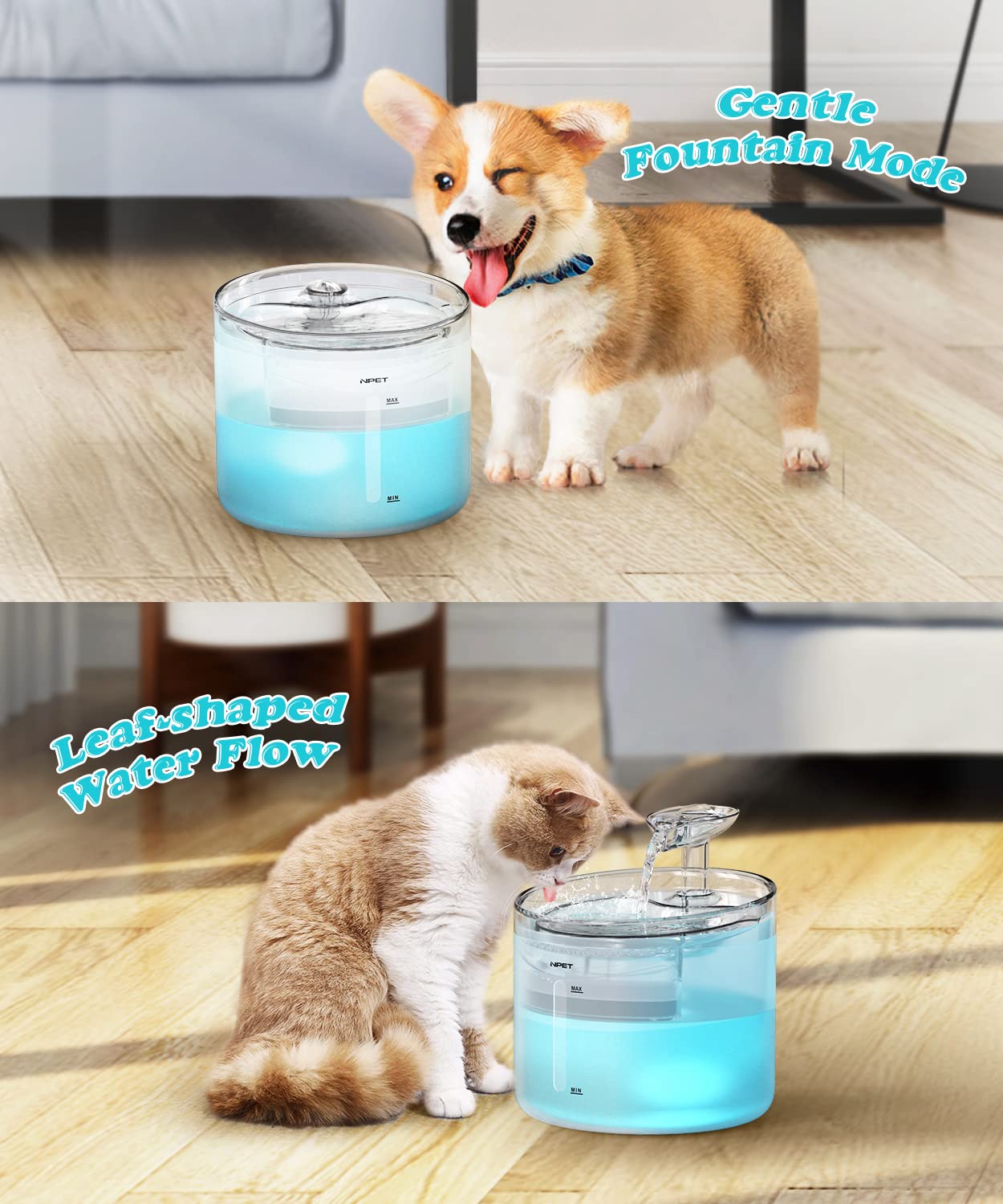 NPET WF100 LED light design adds quiet ambiance while keeping water appealing to pets
