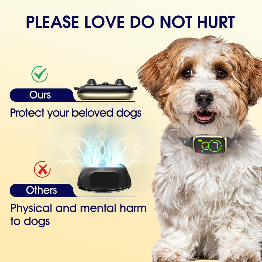 NQQHNN 1S collar packaging shown as a gift for dog owners.