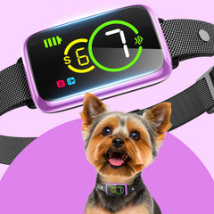 NQQHNN 1S Stop Barking Collar showing gentle beep and vibration for humane dog training