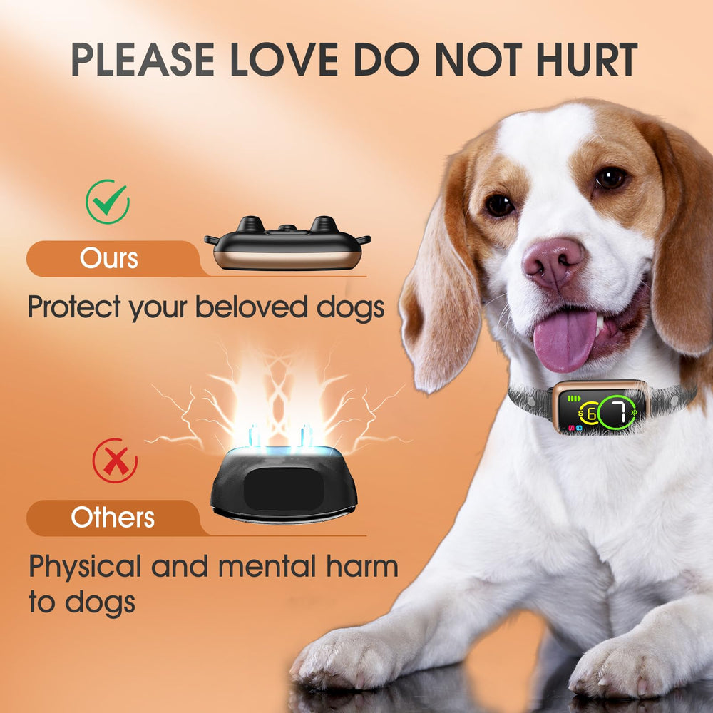 NQQHNN IP67 waterproof bark collar in rain during outdoor use.