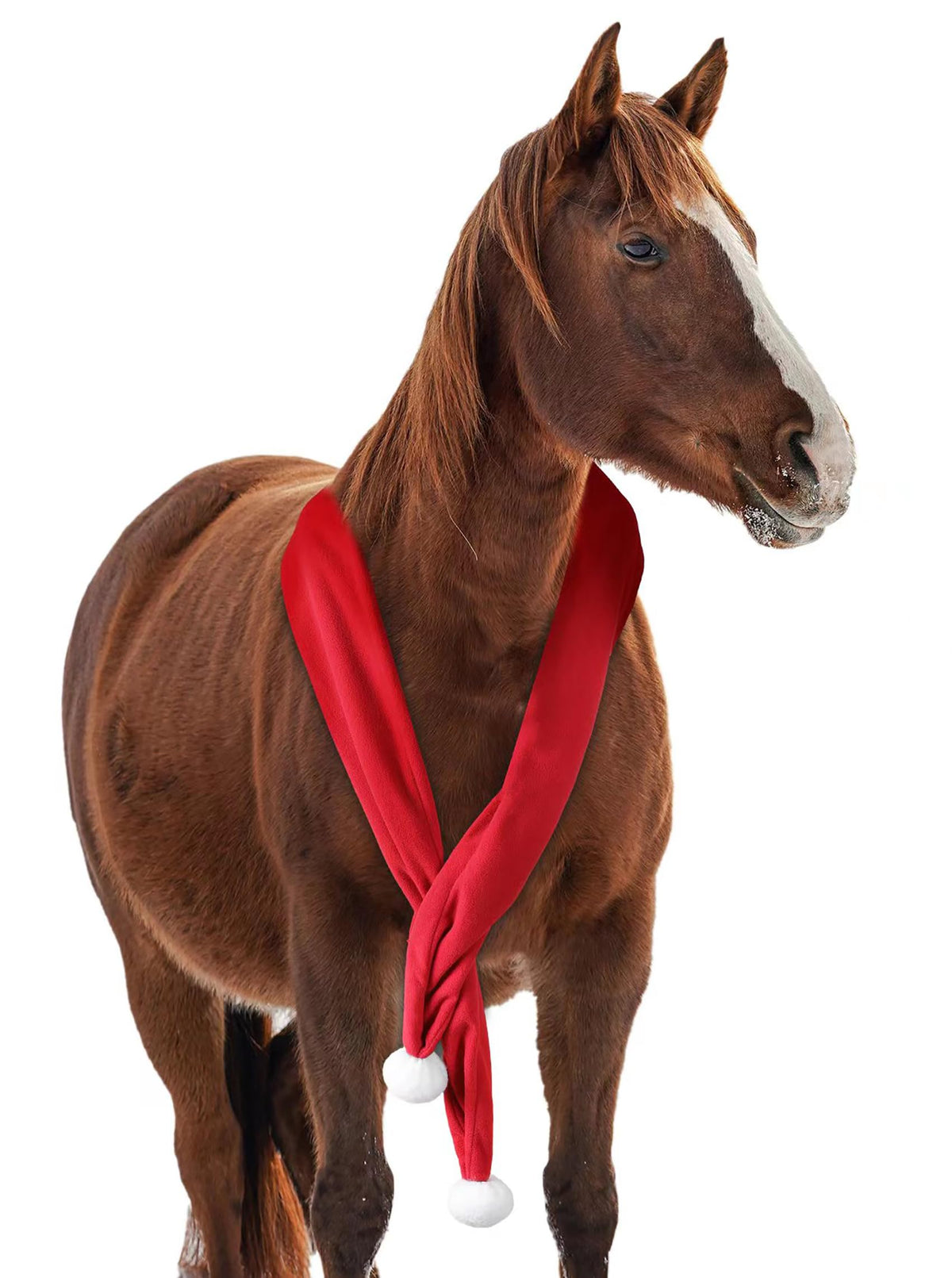 NRTFE Christmas fleece scarf on horse during parade enhances festive visual impact