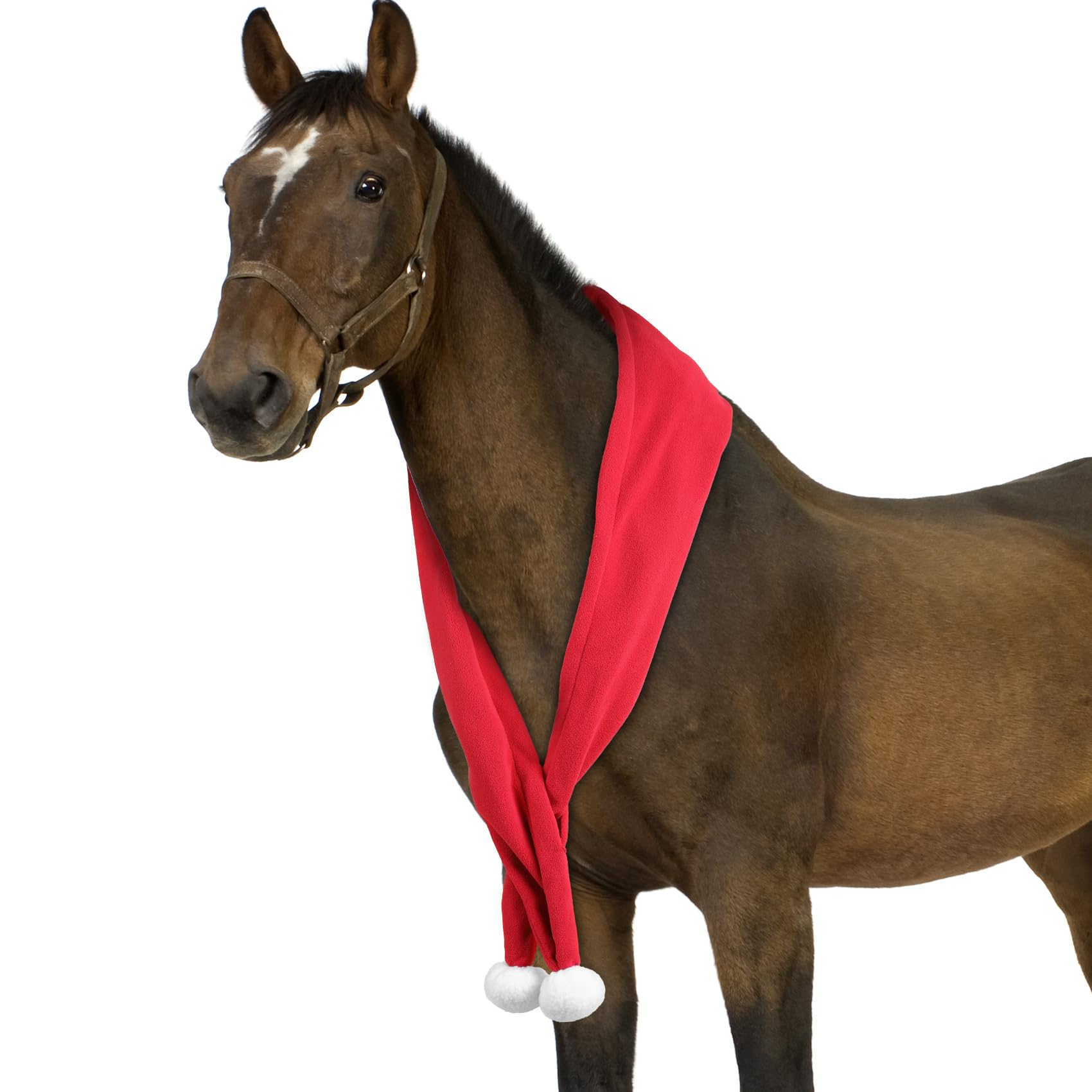 NRTFE scarf worn on horse during parade showcase