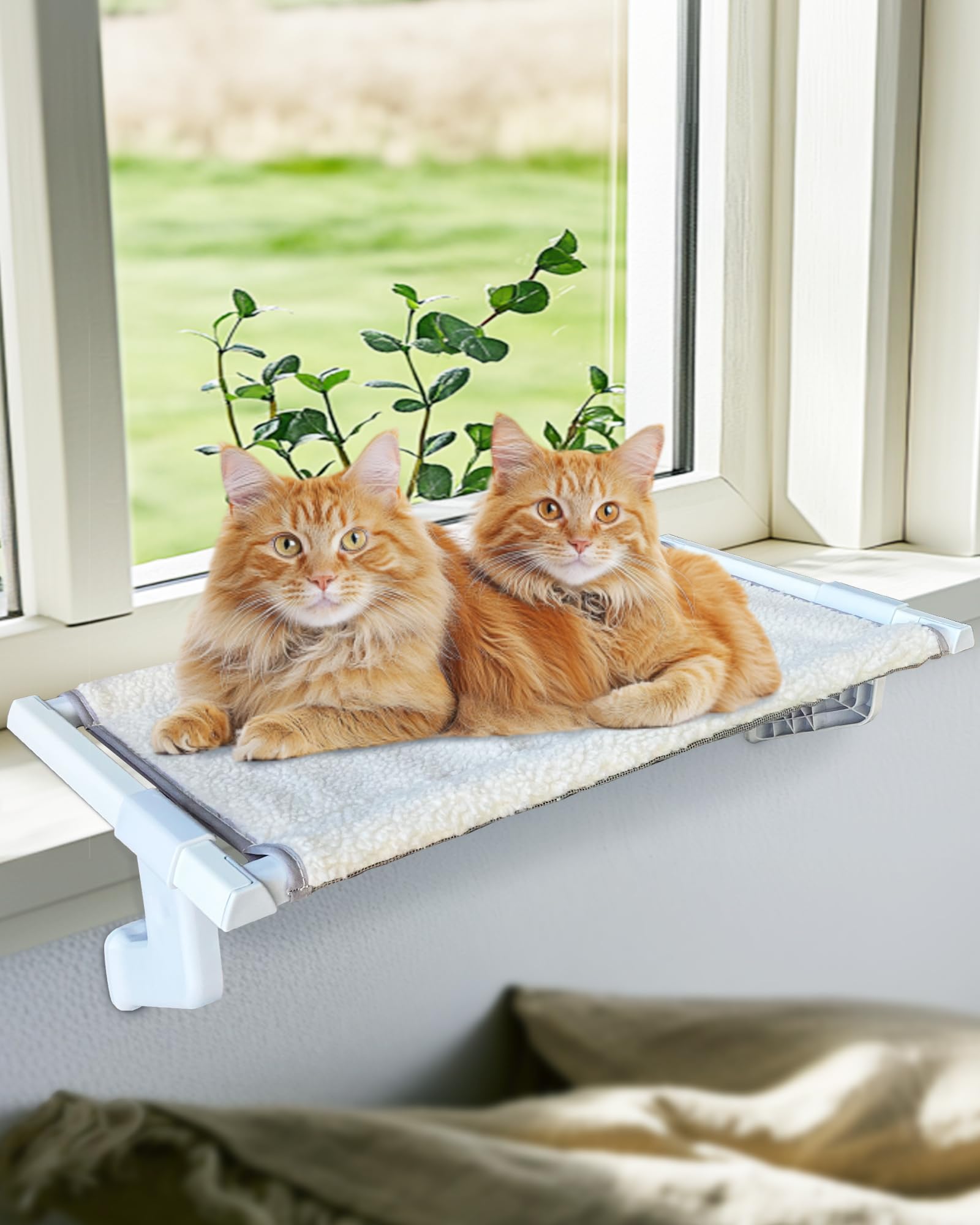 NRYDEPET in-use birdwatching perch helps cats observe outdoors safely