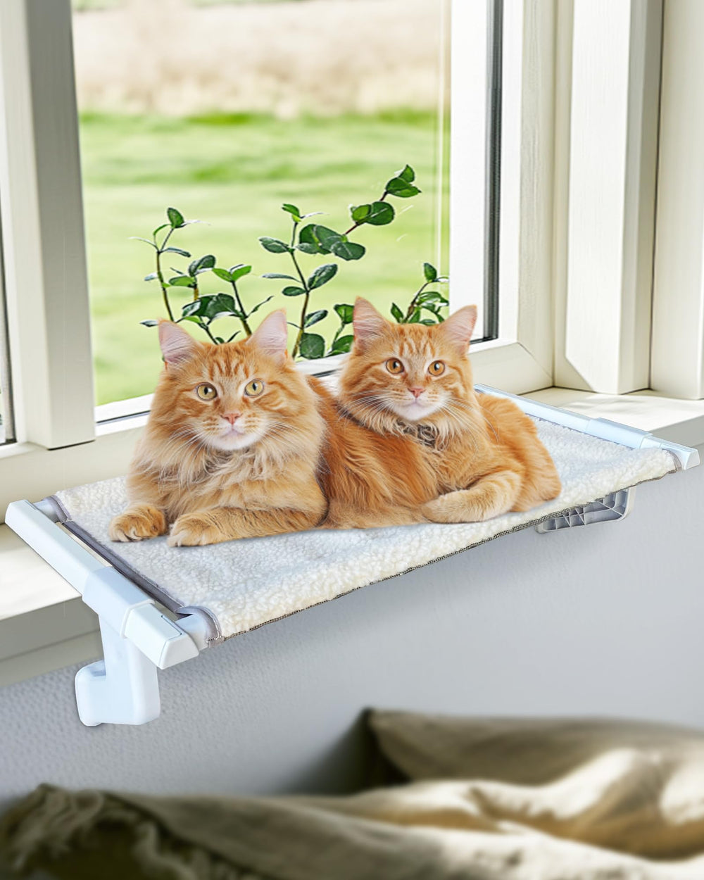 NRYDEPET in-use birdwatching perch helps cats observe outdoors safely