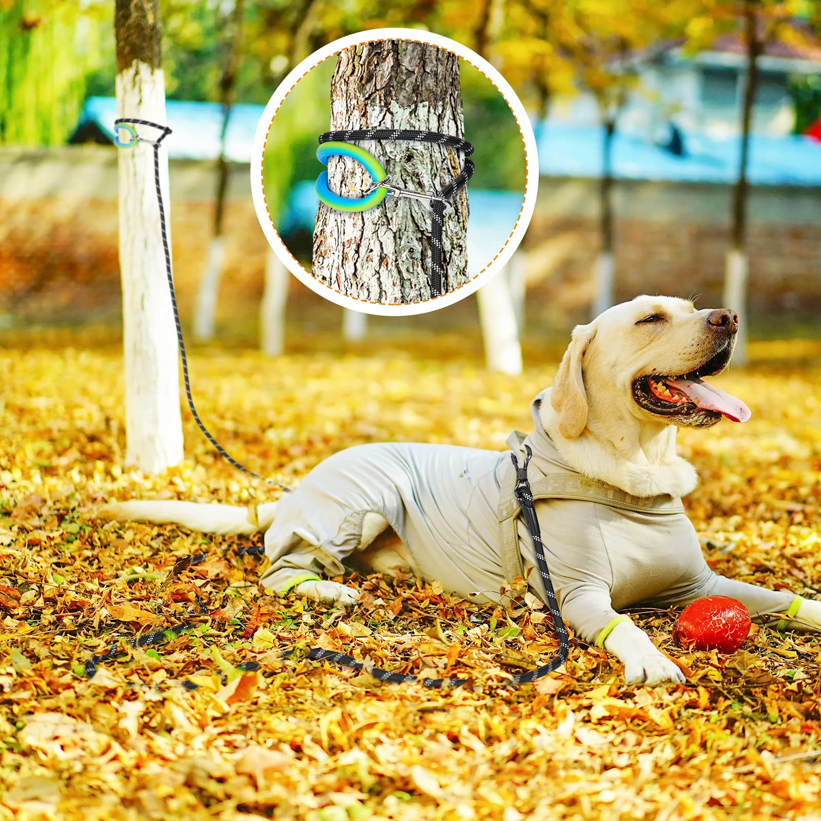 NTR long dog leash 50ft outdoor-use scenarios demonstrate versatile training and exploration.