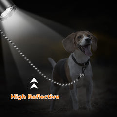 NTR long dog leash reflective threads boost visibility for safe night walks.