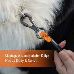 NTR long dog leash showing two swivel hooks for versatile training and tethering
