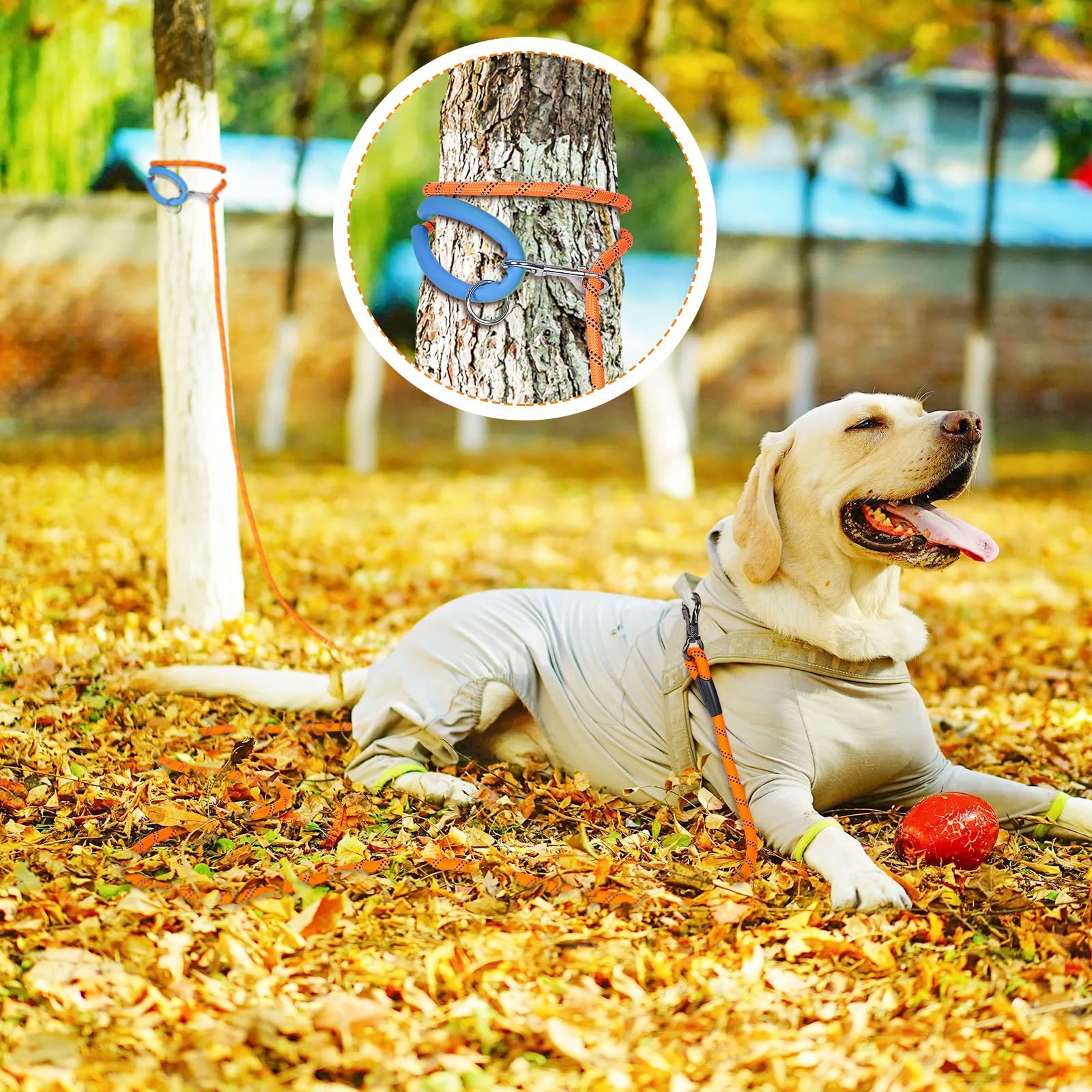NTR outdoor leash ideal for hiking and camping adventures