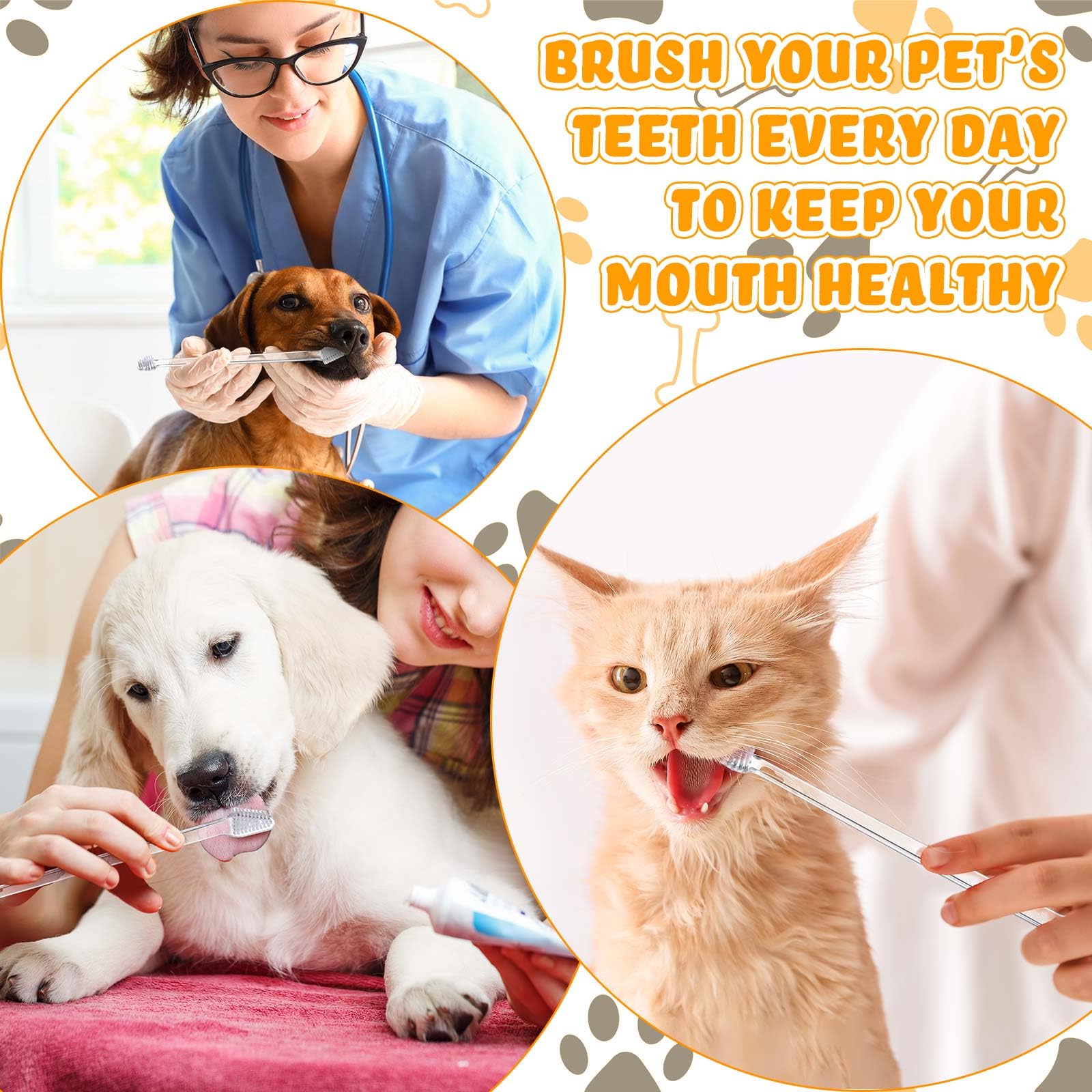 Nuenen long-handle brush 22 cm shown for pet-friendly reach.