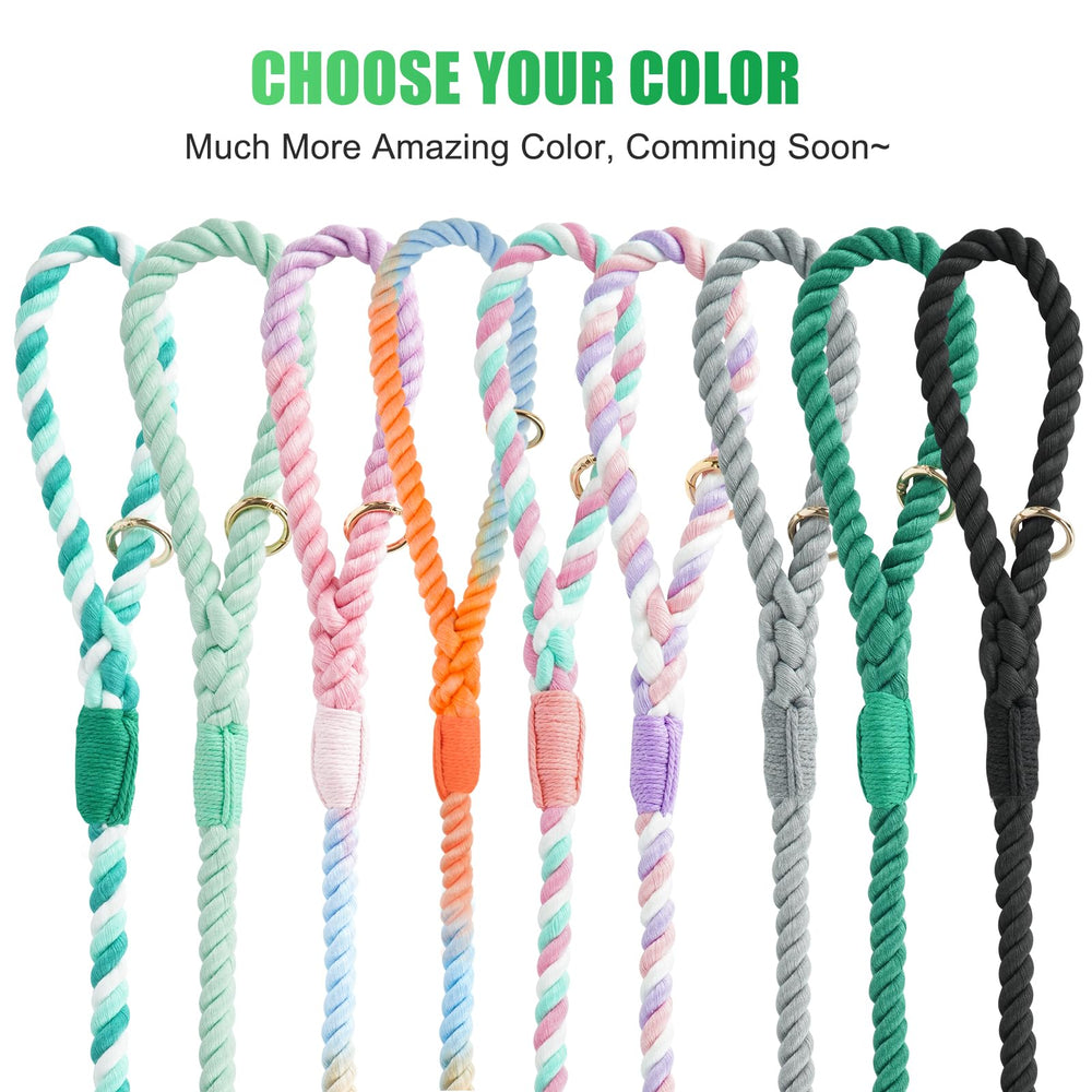 NUGUTIC fashion-design leash adding stylish flair to dog photos