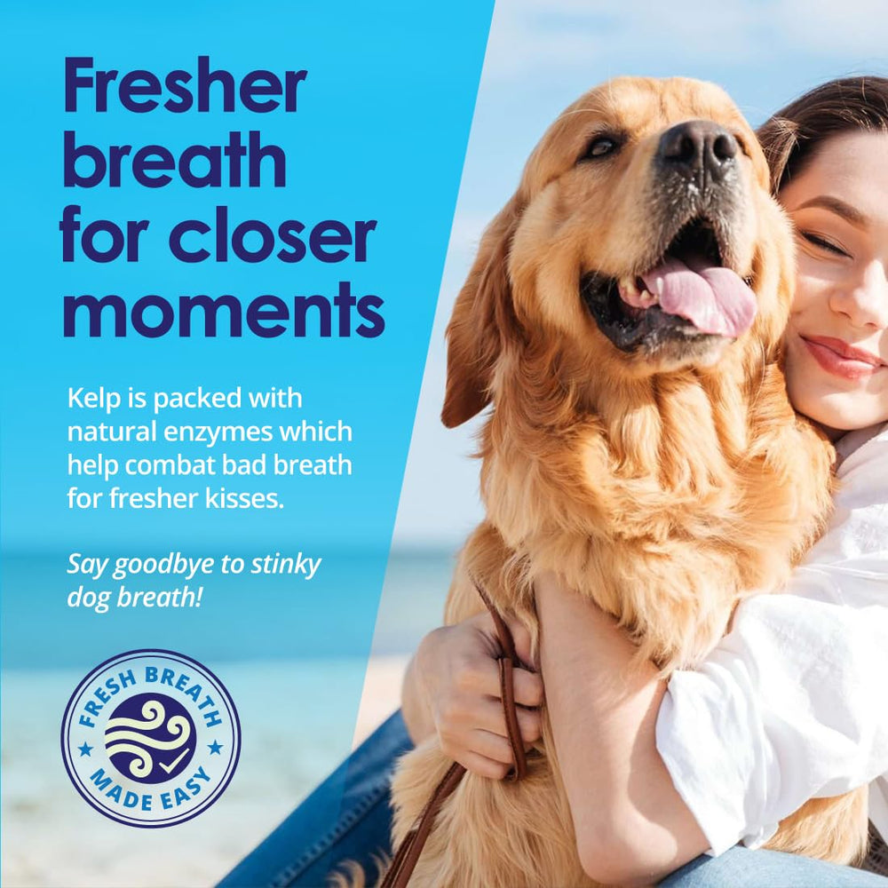 NuLife Dog Teeth Powder bottle demonstrates fresh breath benefits during meals.