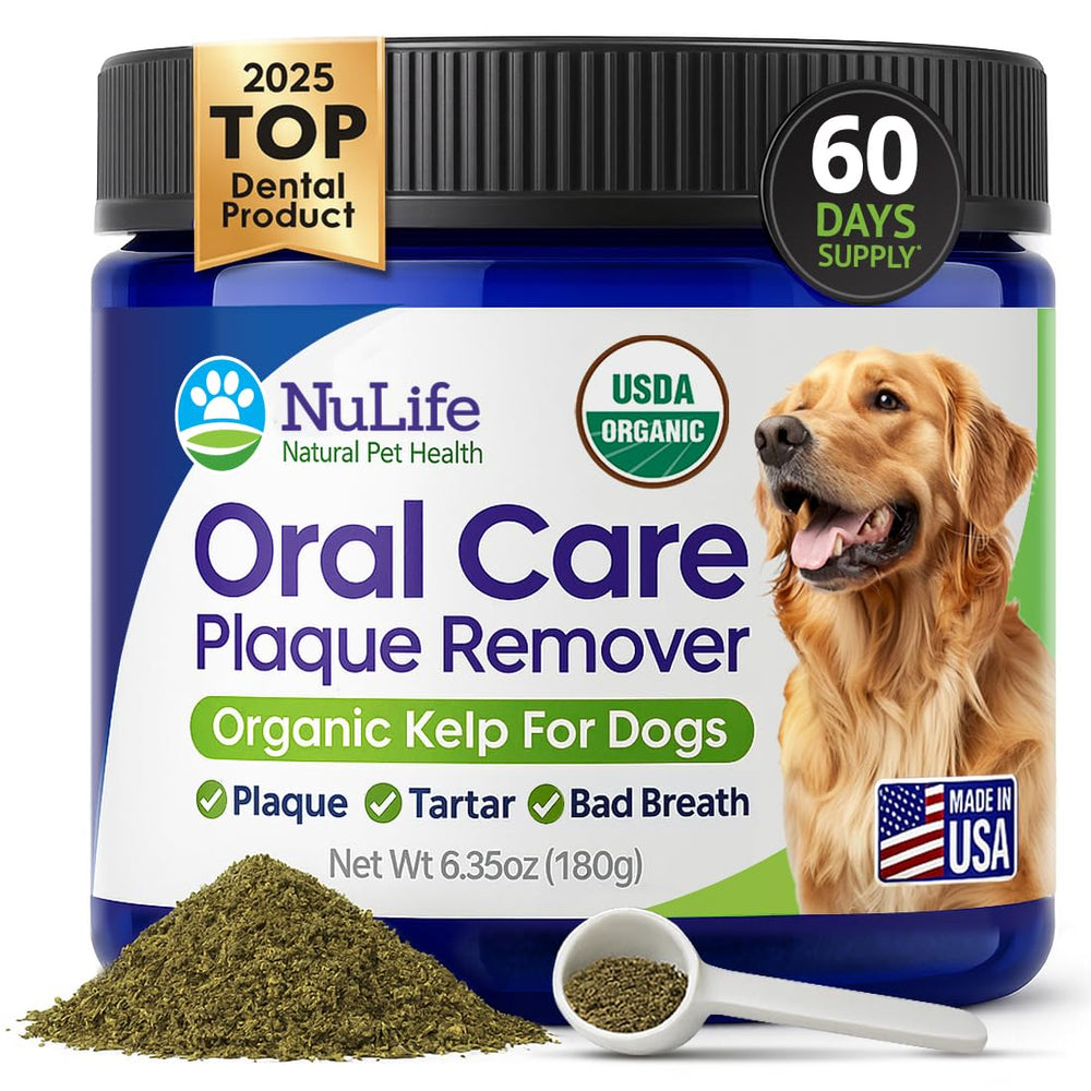 NuLife Dog Teeth Powder organic kelp container highlighting nutrient-rich formula for healthy gums.