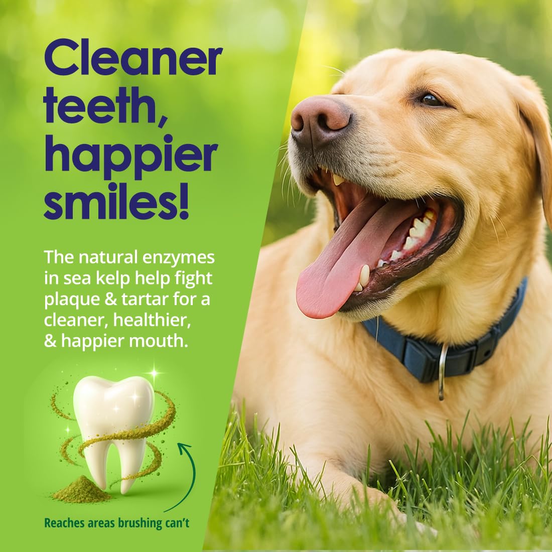 NuLife Dog Teeth Powder sprinkle on food illustrates brush-free dental care.
