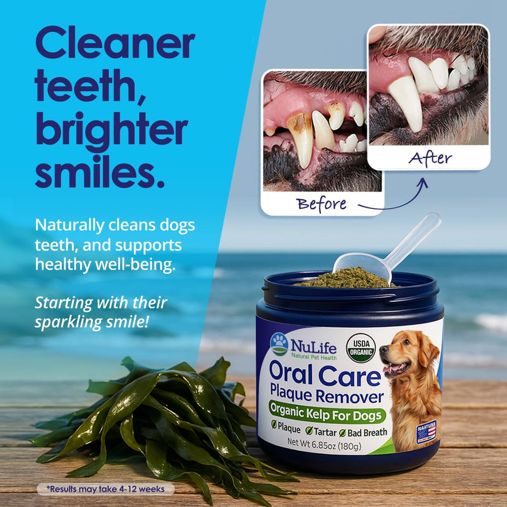 NuLife Dog Teeth Powder USA-made badge signals quality and planet-friendly sourcing.