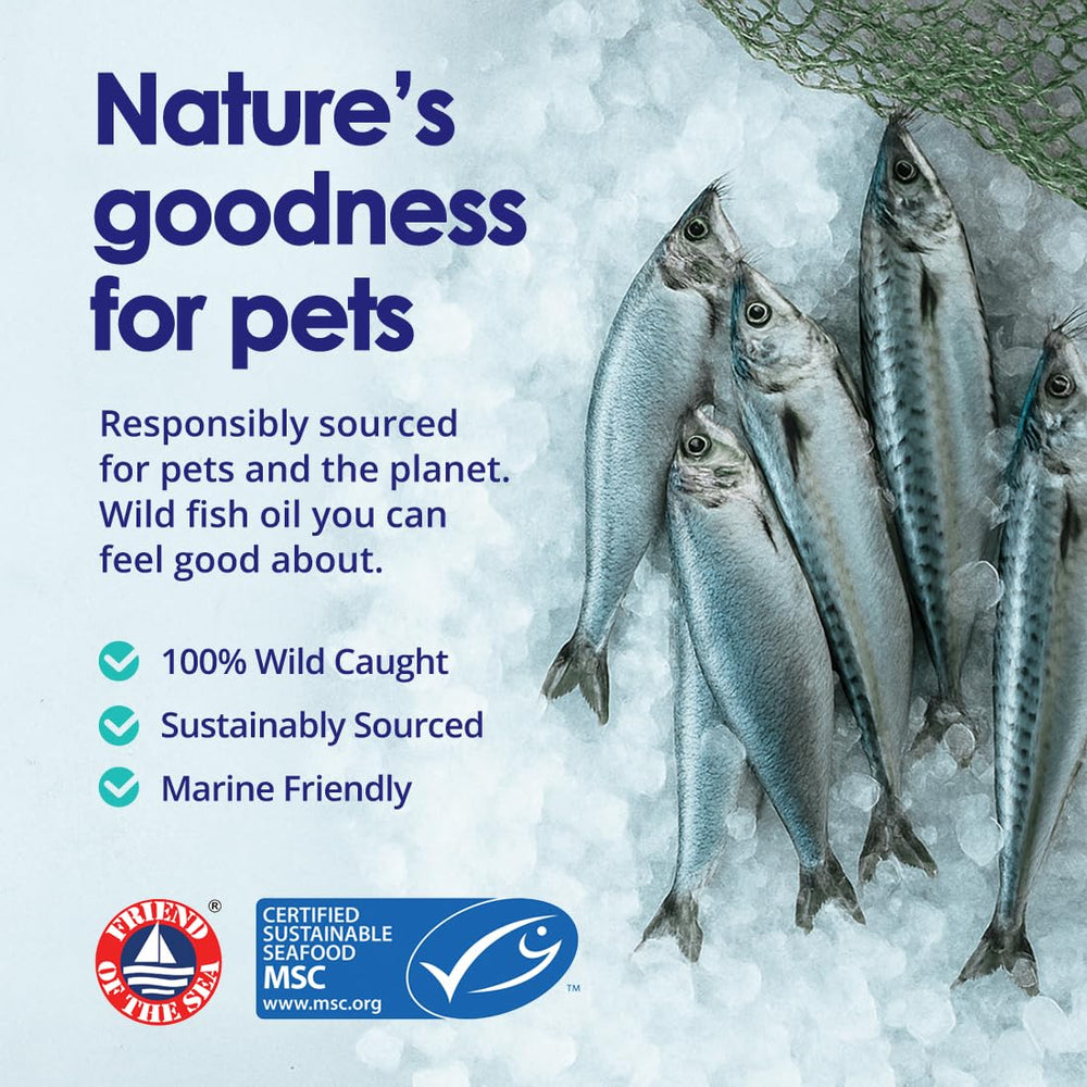 NuLife Icelandic wild-caught fish ingredients emphasizing purity and sustainable sourcing.
