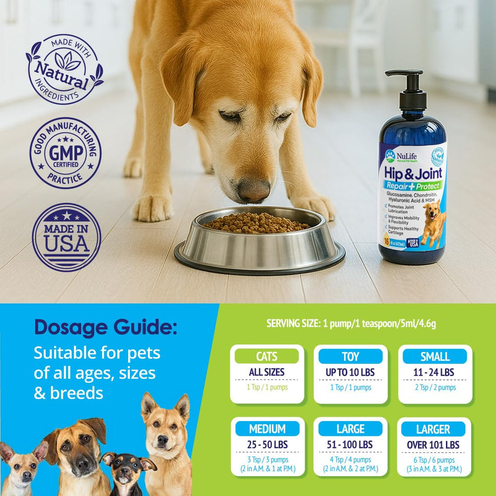 NuLife Liquid Glucosamine for Dogs playtime scene suggesting improved mobility.