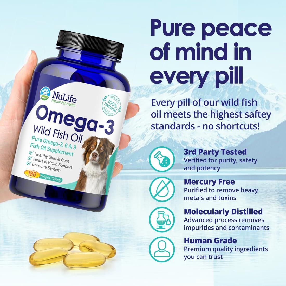 NuLife Mercury-free, non-GMO formula highlighting purity and safety.