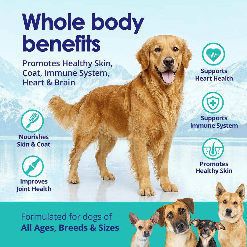 NuLife Omega-3 Dogs coat shine visual demonstrating healthier-looking fur.