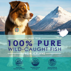 NuLife Pure Omega-3 Dogs softgel capsules for easy daily dosing and skin support.