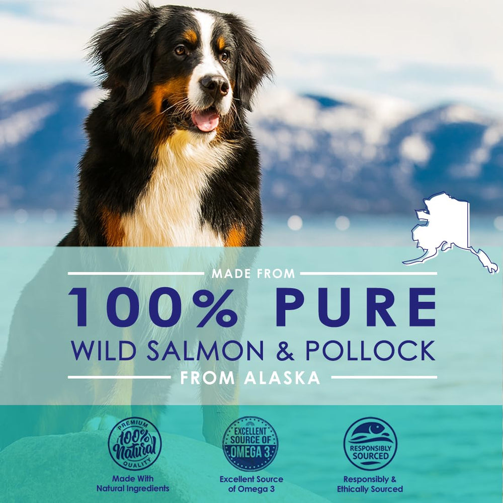 NuLife Natural Pet Health salmon oil drizzled on food, appealing for picky dogs.