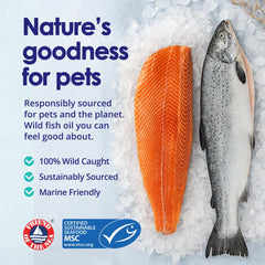 NuLife Natural Pet Health salmon oil rich in EPA and DHA for joints and heart.