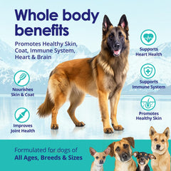 NuLife Natural Pet Health salmon oil USA-made from wild Alaskan salmon for purity.