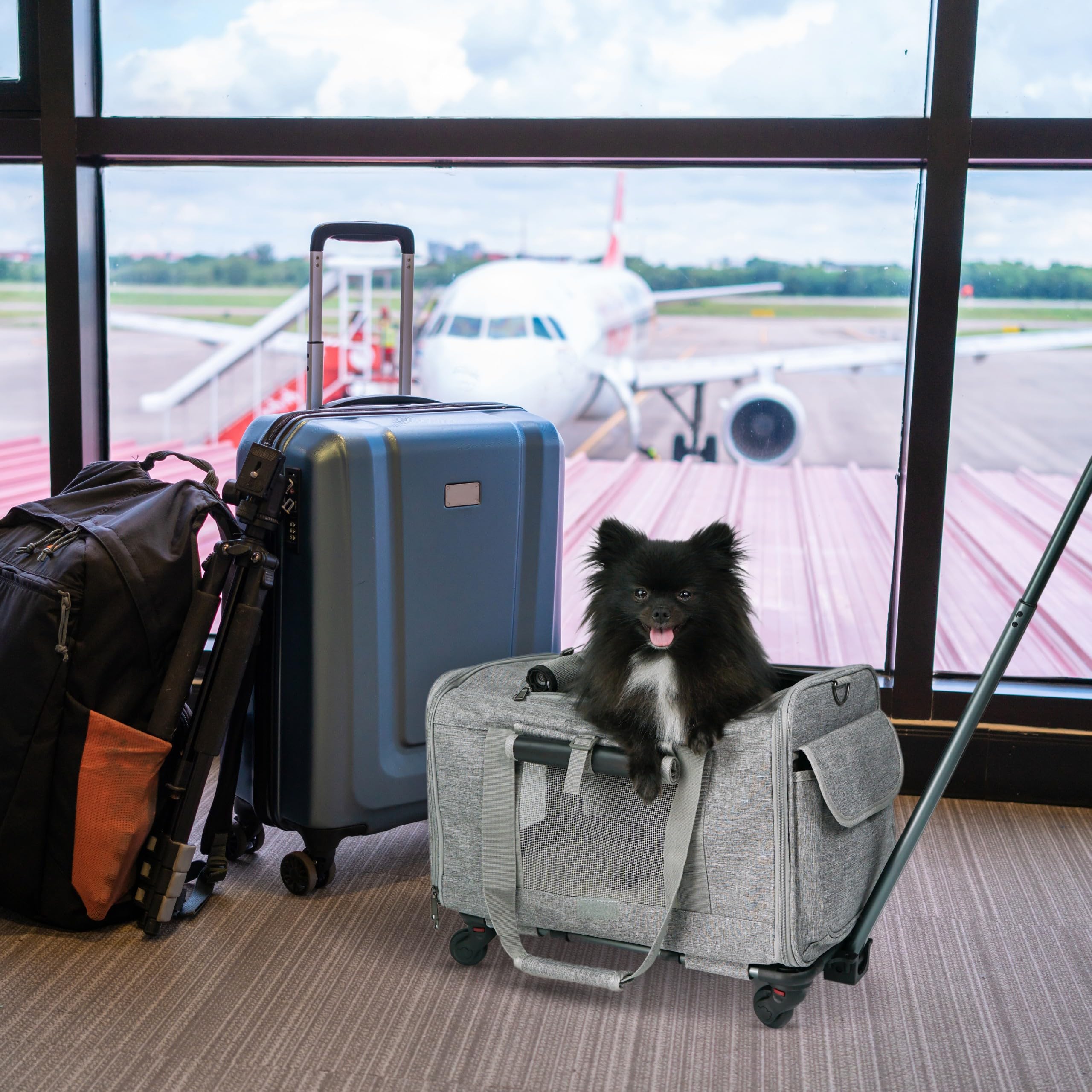 NULLA pet carrier dimensions support pets up to 15 lbs and up to 16 inches.