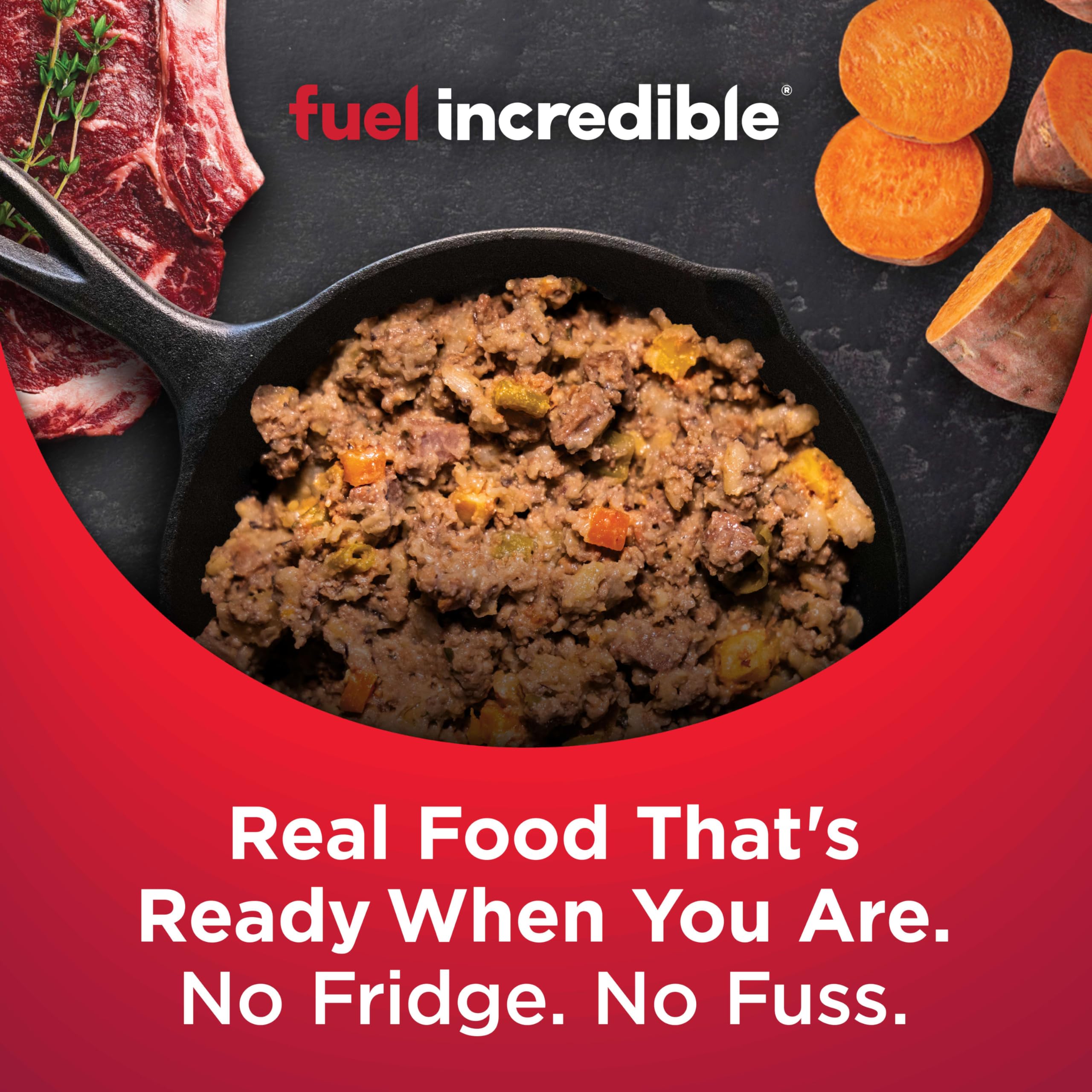 Nulo Gently-Cooked Meals dog-eating-serving demonstrates mealtime routine and canine happiness.