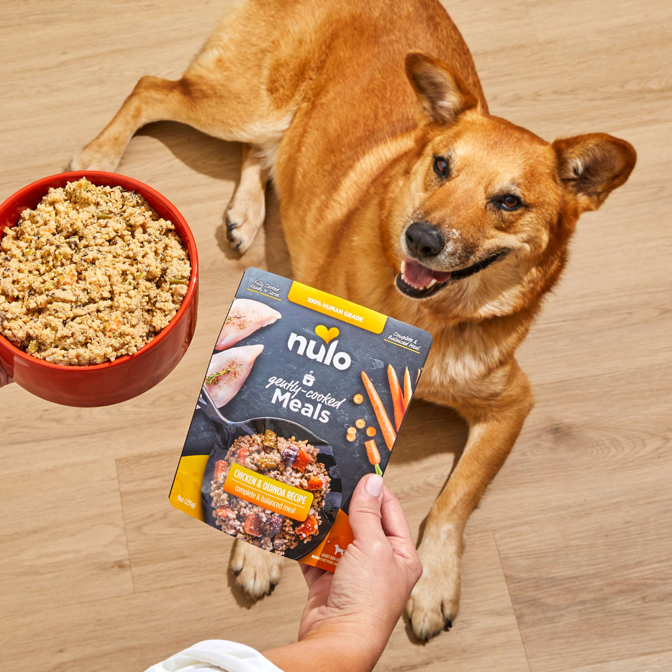 Nulo Gently-Cooked Meals-pack-of-8 product image communicates value and easy pantry storage.