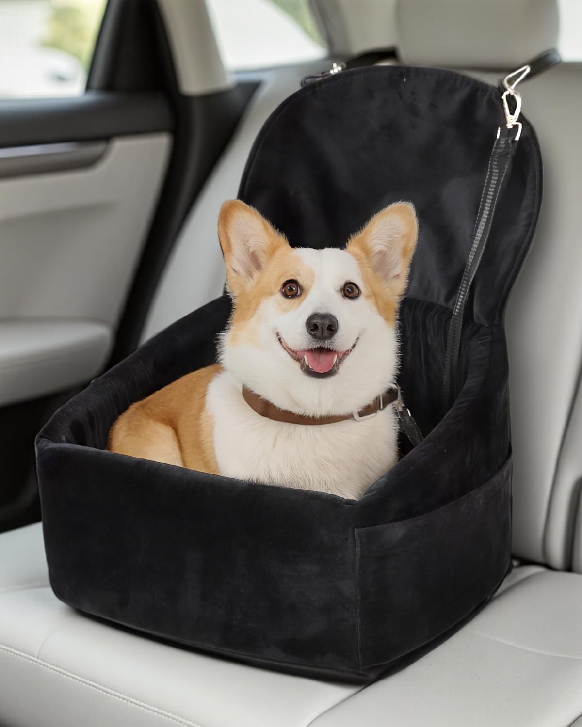 NUPIDA dog car seat with seatbelt loops for stable restraint.
