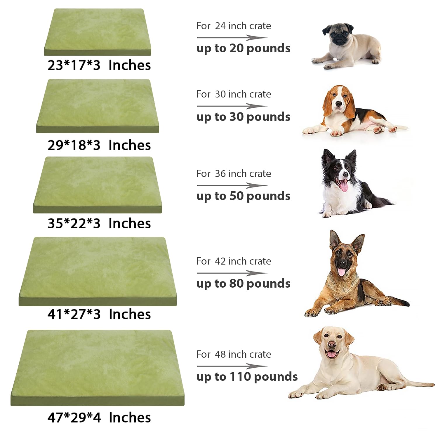 Green NUPIDA dog crate bed in a calm crate setup