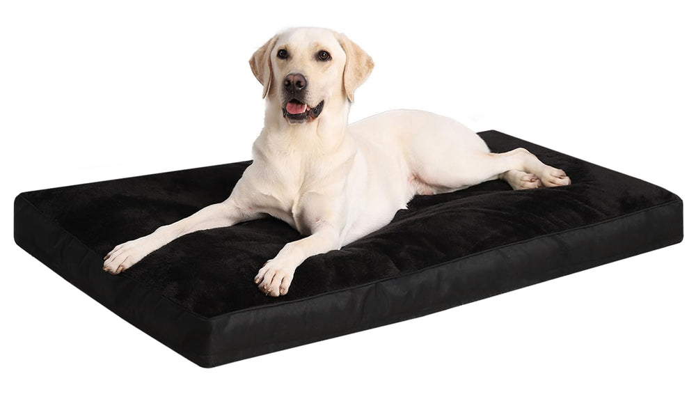 NUPIDA dog crate bed top view showing stable, cozy base for nightly rest