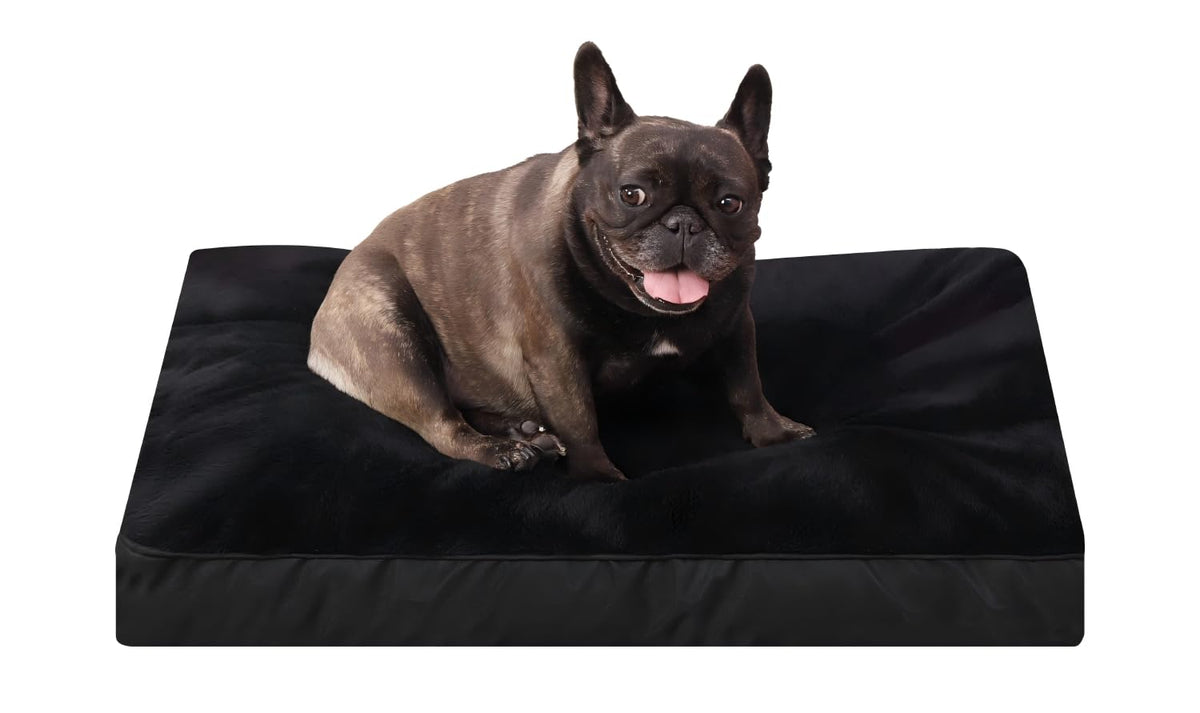 NUPIDA dog crate bed waterproof deluxe outer guards against spills in the crate