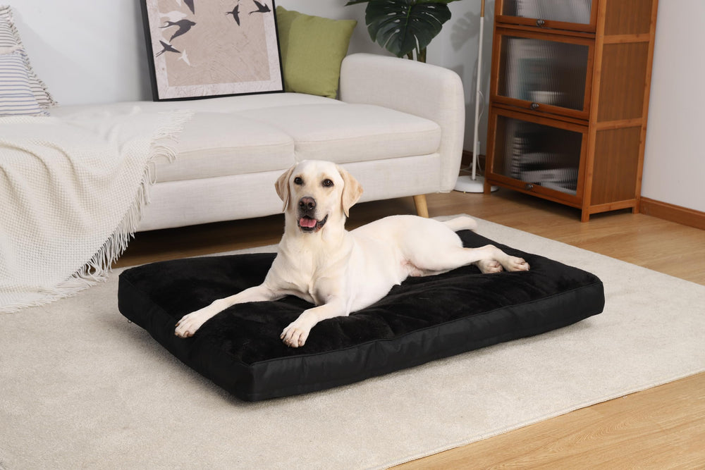 NUPIDA dog crate bed vacuum-packed box ready for quick setup