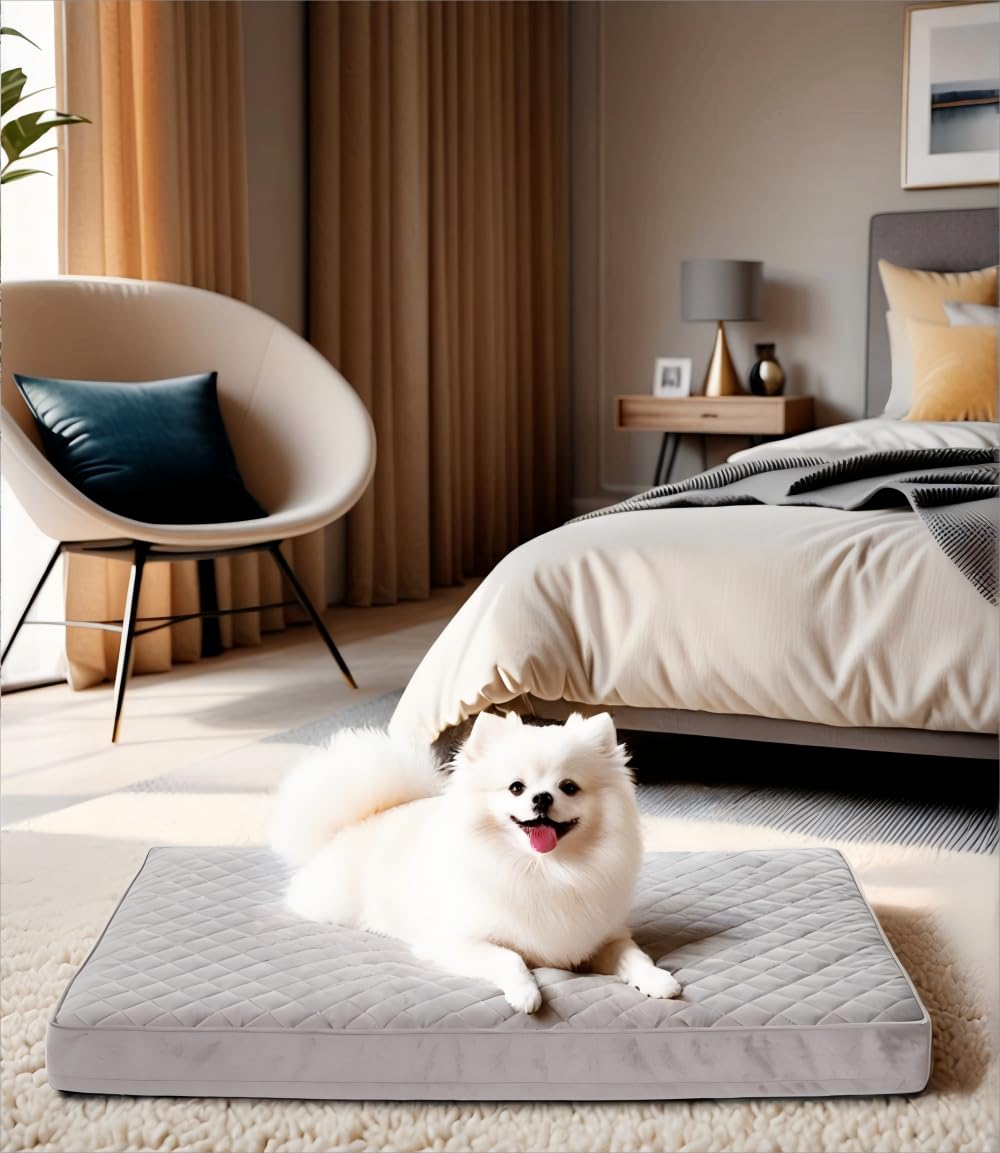 NUPIDA orthopedic dog bed with egg-crate foam offers small-dog support.