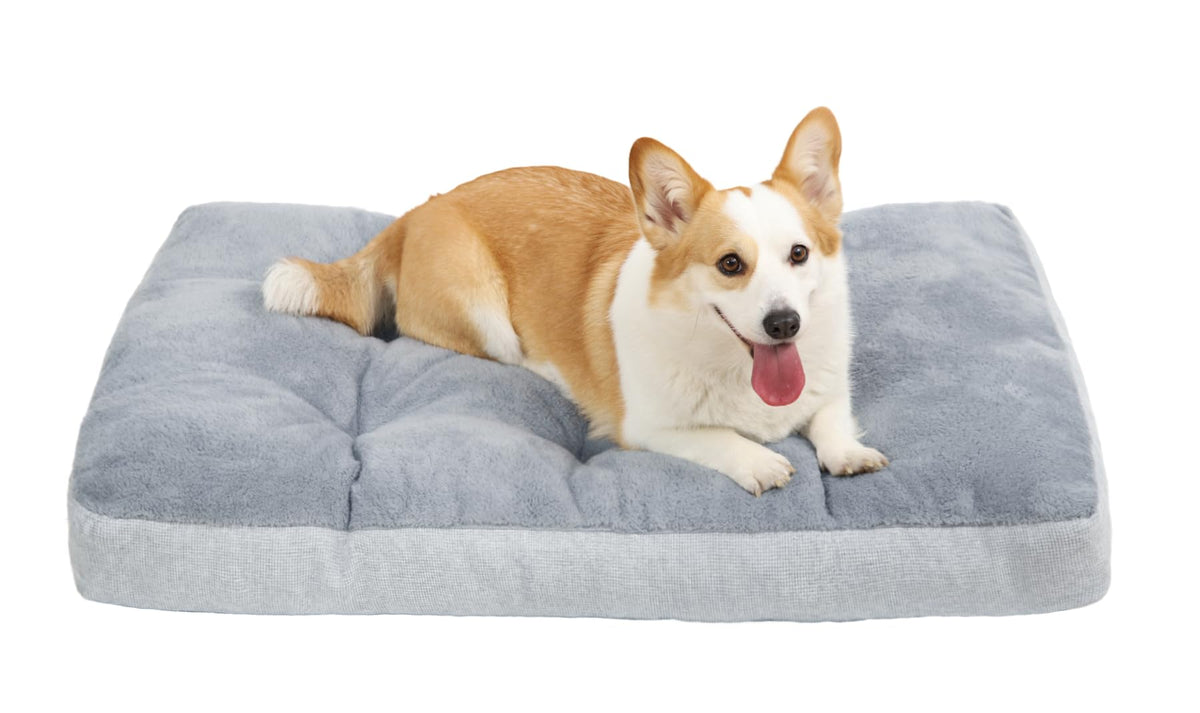 NUPIDA Washable Dog Bed plush surface closeup highlights buttery-soft comfort for lounging