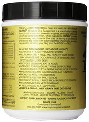 Nupro All Natural Dog Supplement powder stirred into a dog bowl to encourage appetite.