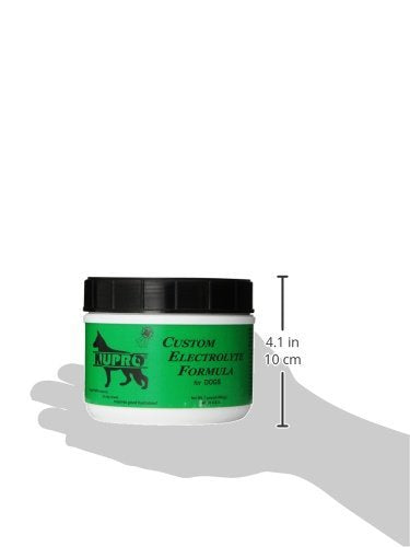 Dog drinks after exercise with Nupro for balanced hydration and recovery.