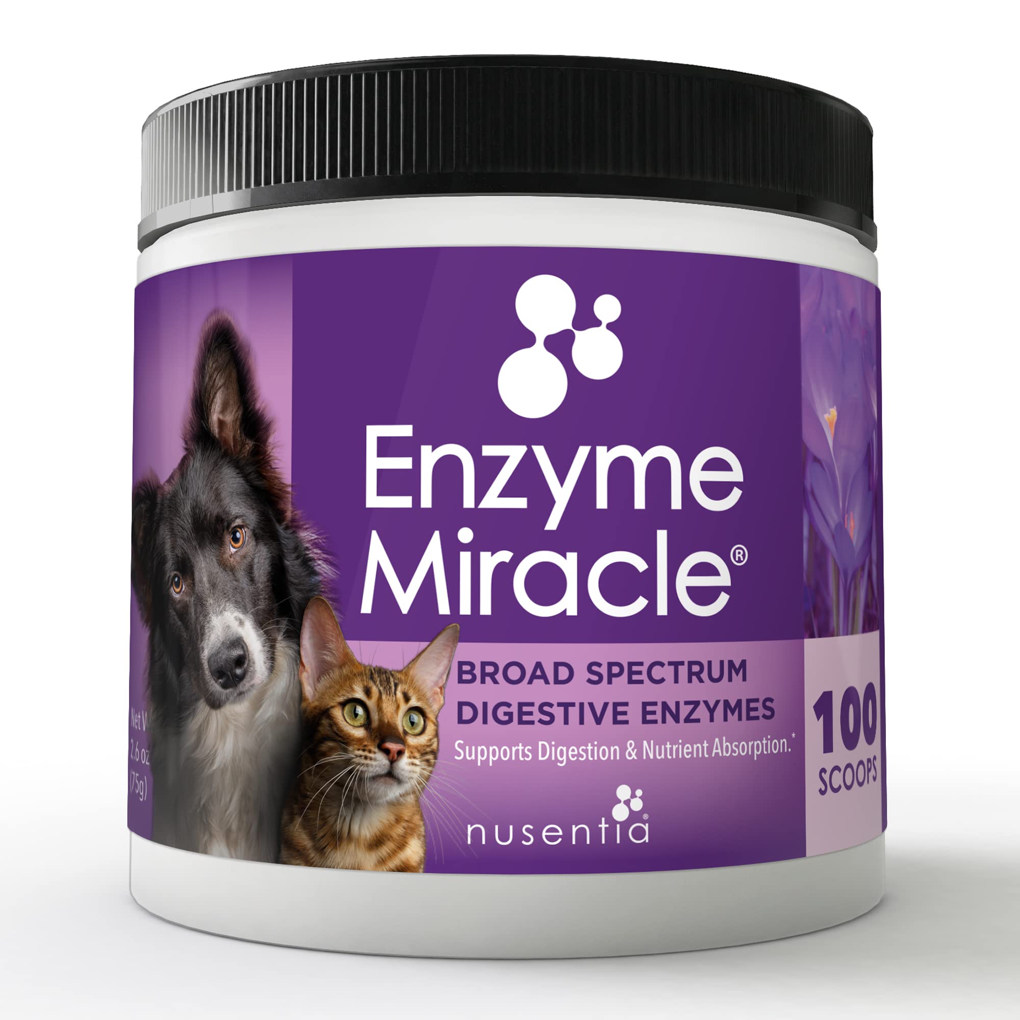 NUSENTIA Enzyme Miracle powder dispense for easy digestion support in pets