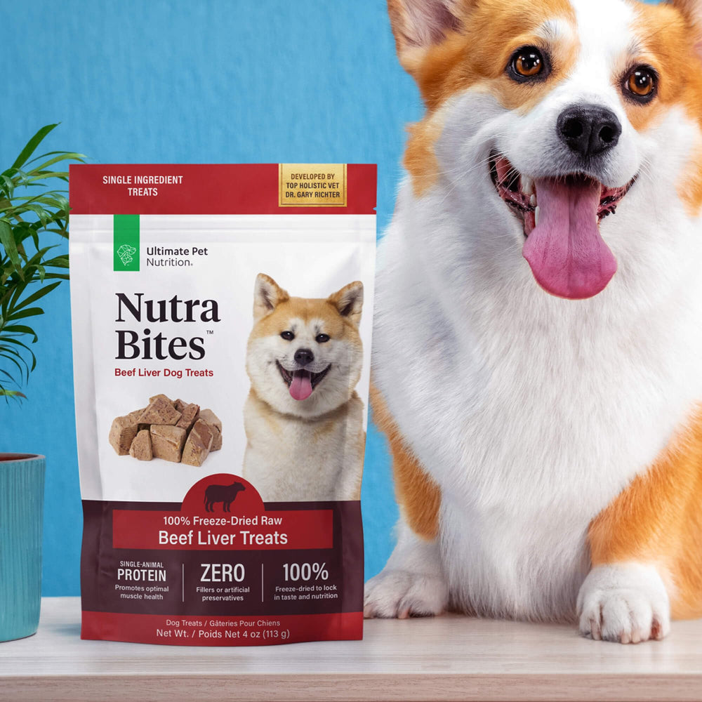 Nutra Bites entrenamiento práctico para perros durante sesiones