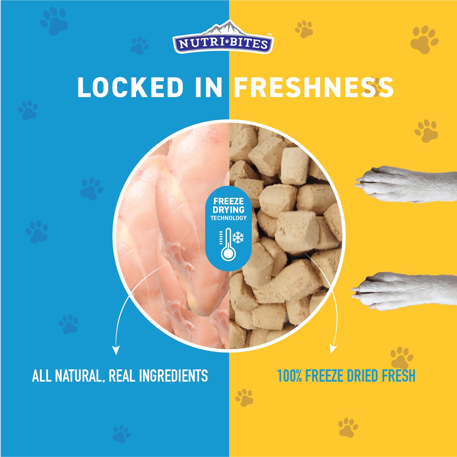 Nutri Bites freeze-dried chicken treats high-protein benefits for joints and muscles.