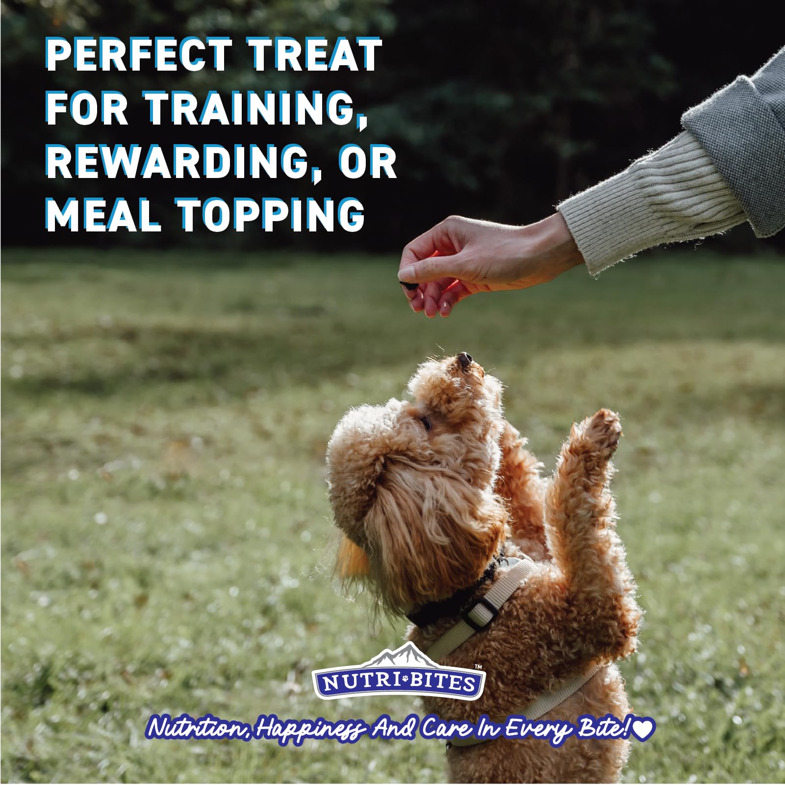 Nutri Bites freeze-dried chicken treats meal topper on bowl for meals.